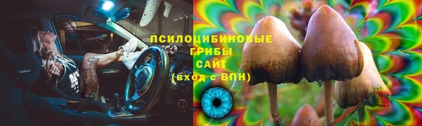 ПСИЛОЦИБИНОВЫЕ ГРИБЫ Богородск