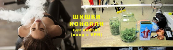 ПСИЛОЦИБИНОВЫЕ ГРИБЫ Богородск