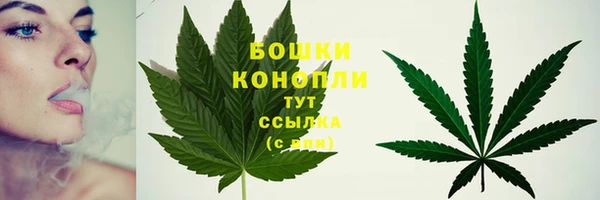 прущий лед Богданович