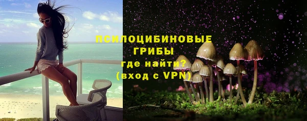 метадон Богородицк