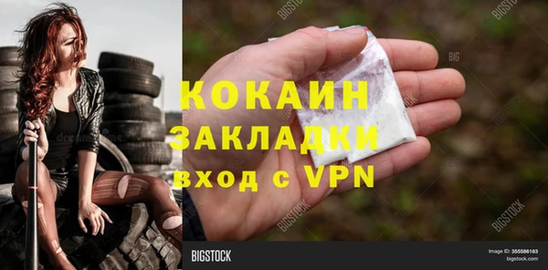прущий лед Богданович